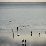 Bretterbude 3*